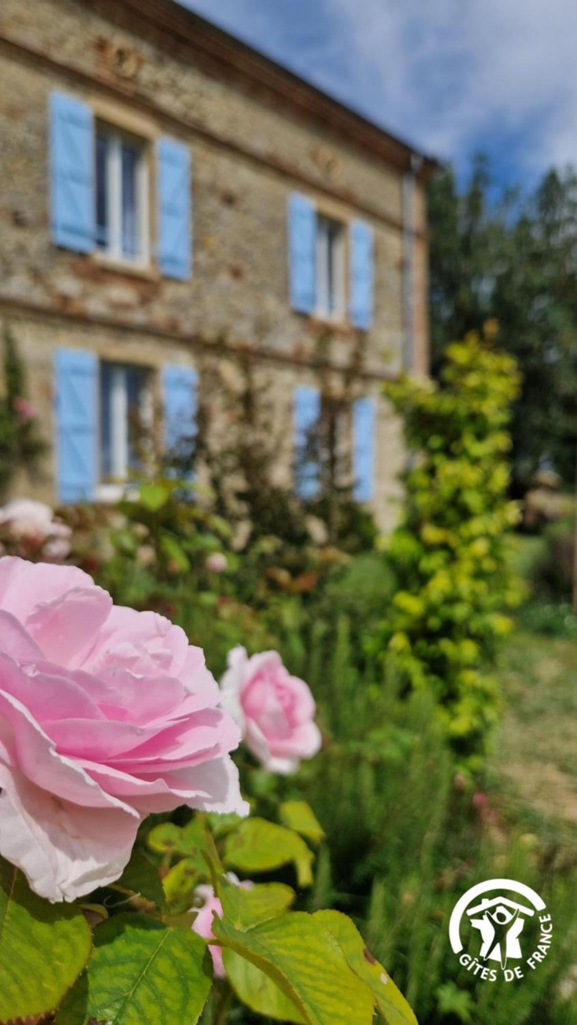 Aux Roses De Cedres Chambre Savane Salvagnac Exterior foto
